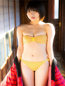 风光大嫁